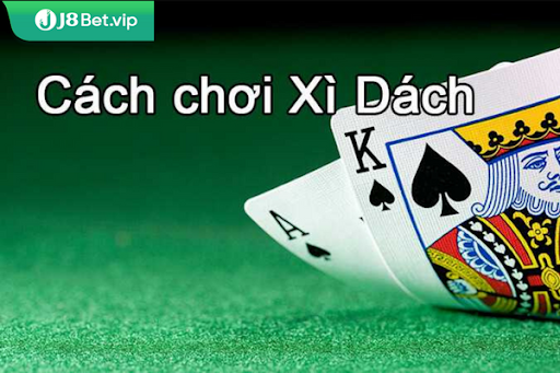 Cập nhật kết quả 24h com hom nay mới nhất và chính xác hiện nay