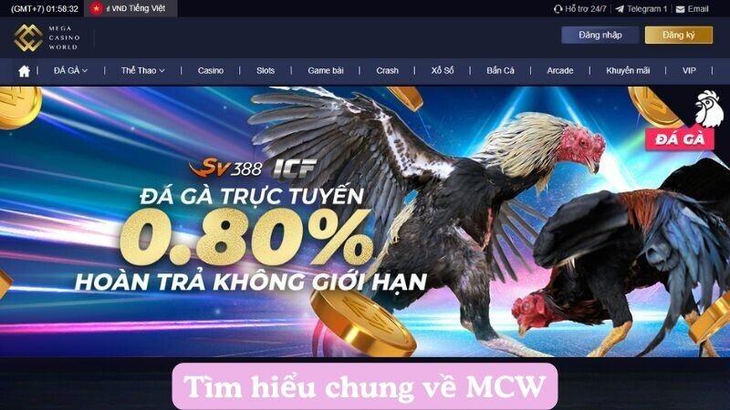 Khám phá thế giới game bài Sunwin hấp dẫn cùng Sunwin và các ưu đãi mới nhất