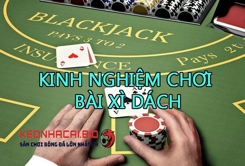Khám phá Winner Casino Online địa chỉ cá cược uy tín hàng đầu năm 2024