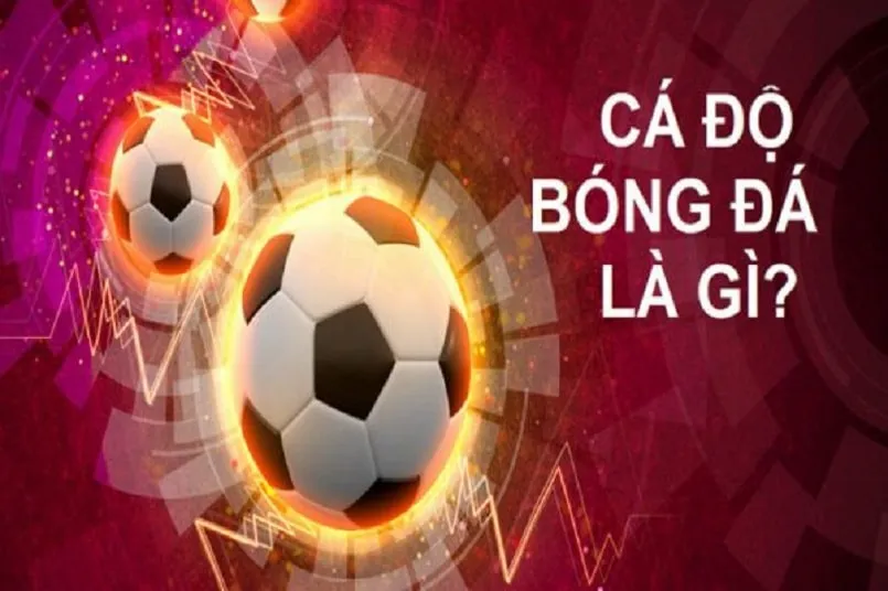 Khám phá game online miễn phí poki hấp dẫn cùng poki đa dạng trò chơi thú vị