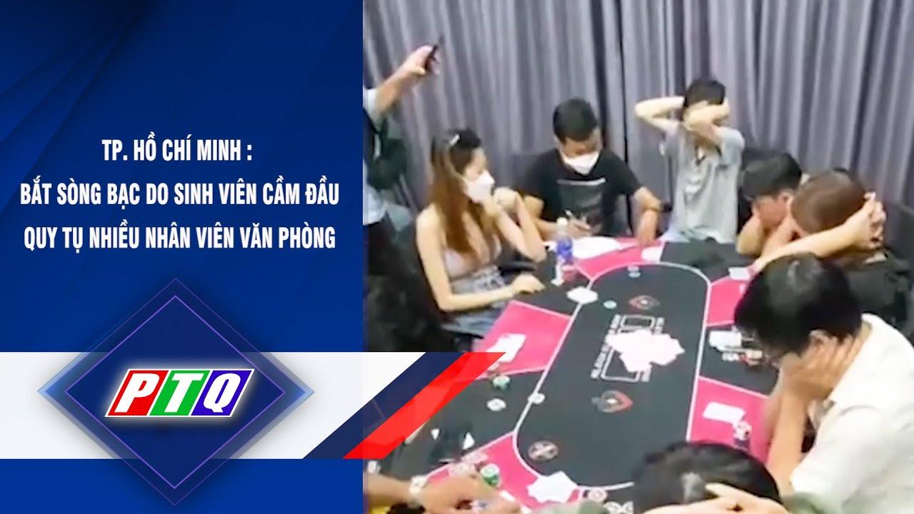 Khám phá game cờ vua 3D cho PC với trải nghiệm chân thực và hấp dẫn